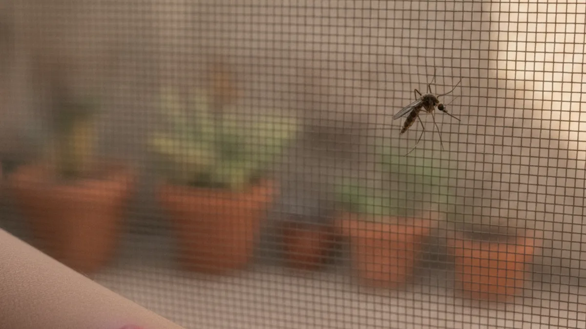 A close-up of a single red welt on skin next to a small mosquito resting on a San Diego patio screen